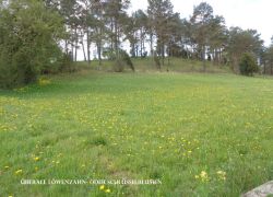 DSC09052 1
