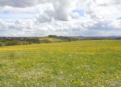 DSC09096 1