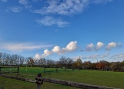 IMG 20221116 WA0006