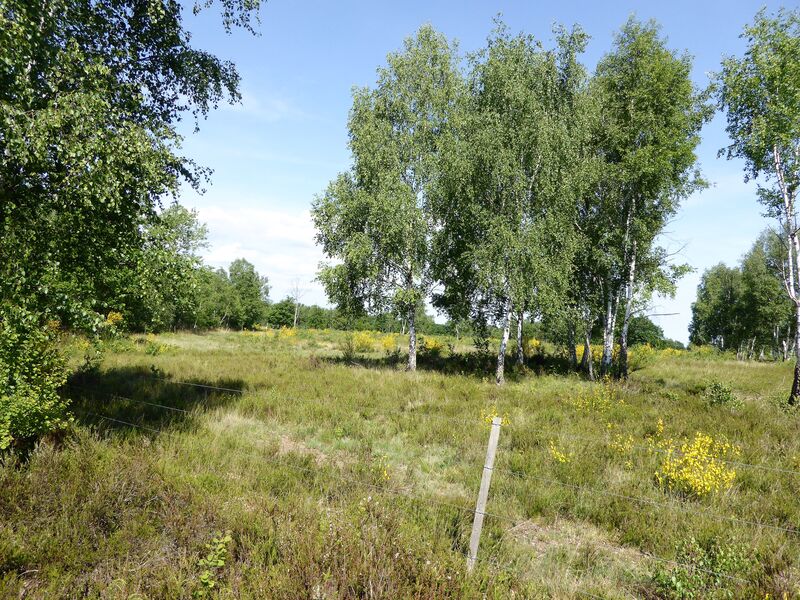 P1170447