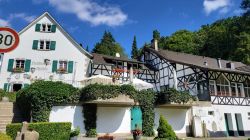 IMG-20240825-WA0004 IMG-20240825-WA0004