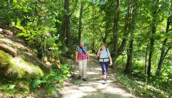 IMG-20240825-WA0006 IMG-20240825-WA0006