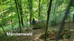 IMG-20240825-WA0008 IMG-20240825-WA0008