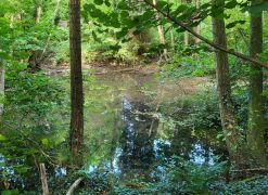 IMG-20240825-WA0013 IMG-20240825-WA0013