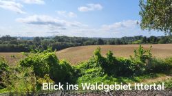 IMG-20240825-WA0017 IMG-20240825-WA0017