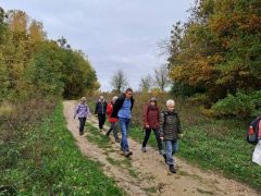 IMG-20251029-WA0001 IMG-20251029-WA0001