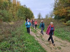 IMG-20251029-WA0002 IMG-20251029-WA0002