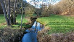 98bf99f6-52ae-4ef4-bb50-00a20a036bca