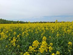 00fe364f-8eef-45e7-8c76-affc362e94c6