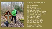 Rheinbach3